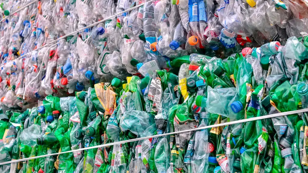 В "Жасыл Даму" не уверены, что утильсбор на все товары влияет на их цену