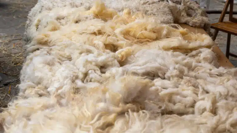 Новый завод за 5,3 млрд тенге по переработке шерсти запустили на западе Казахстана