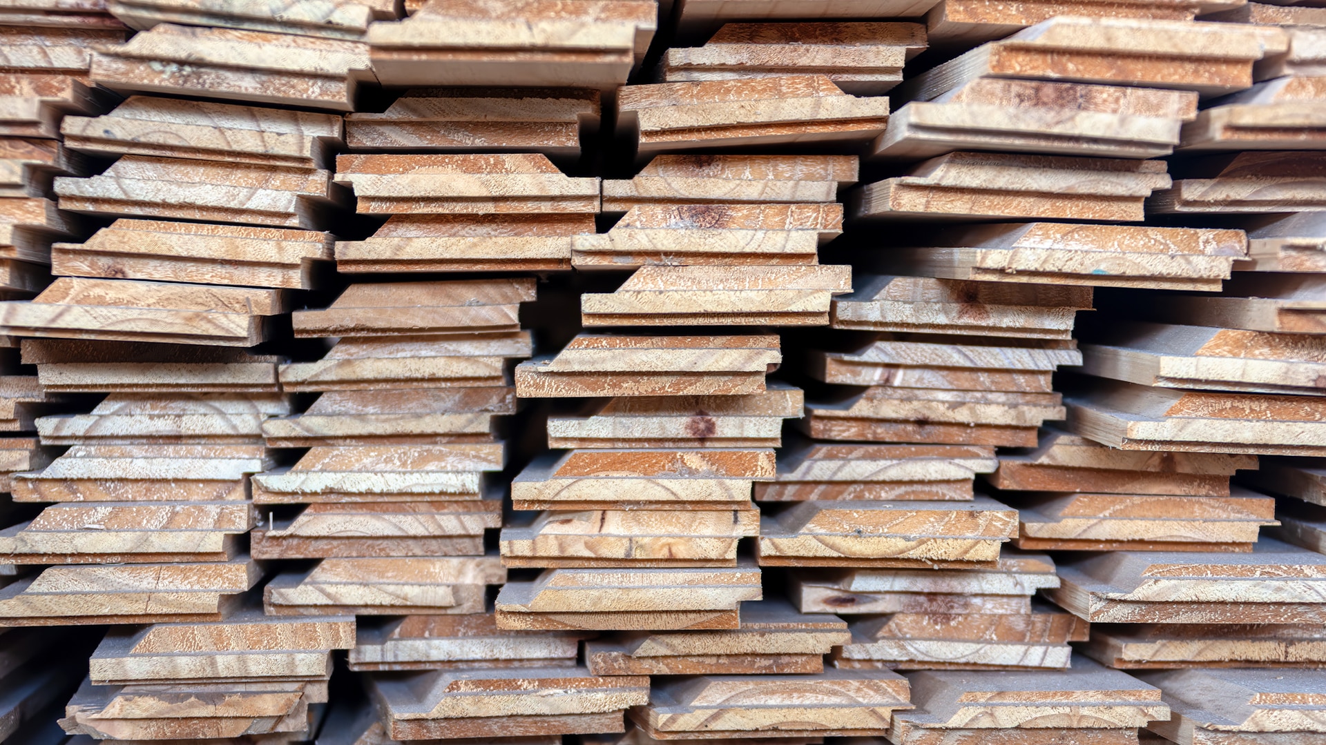 Катарцы будут перерабатывать древесину в Казахстане