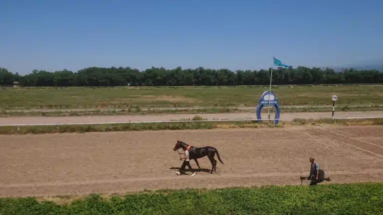 Премьер-министр Алматы ипподромының тағдырын түсіндірді