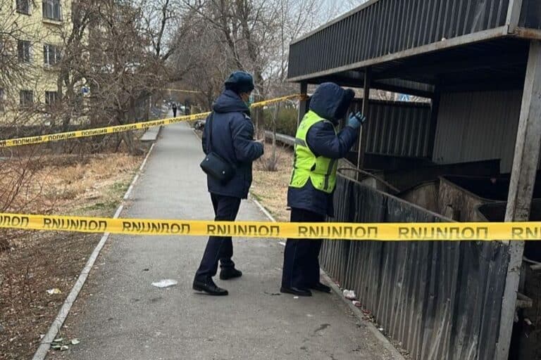 Кентауда қоқыс жәшігінен нәрестенің денесі табылды