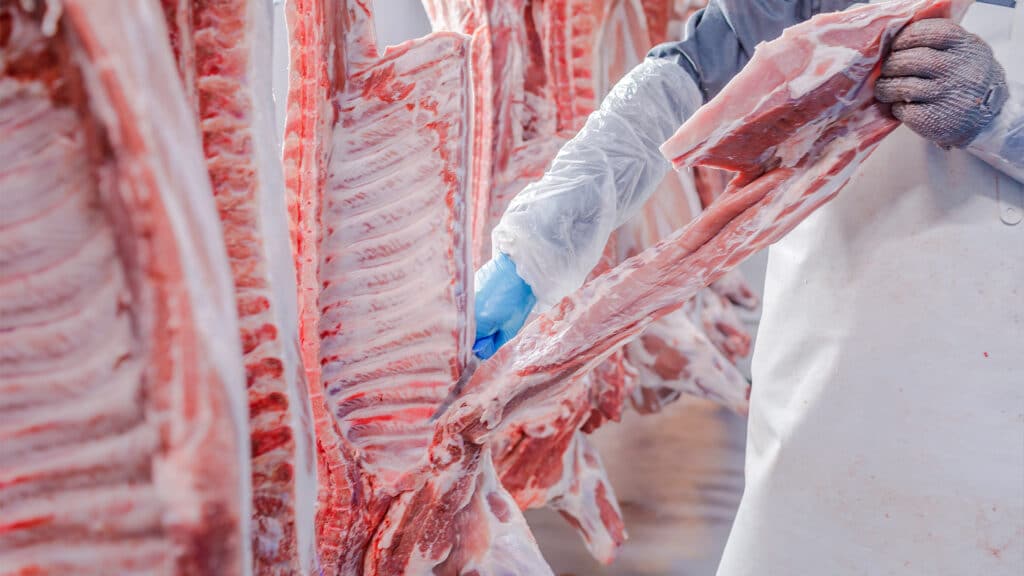 цена говядина