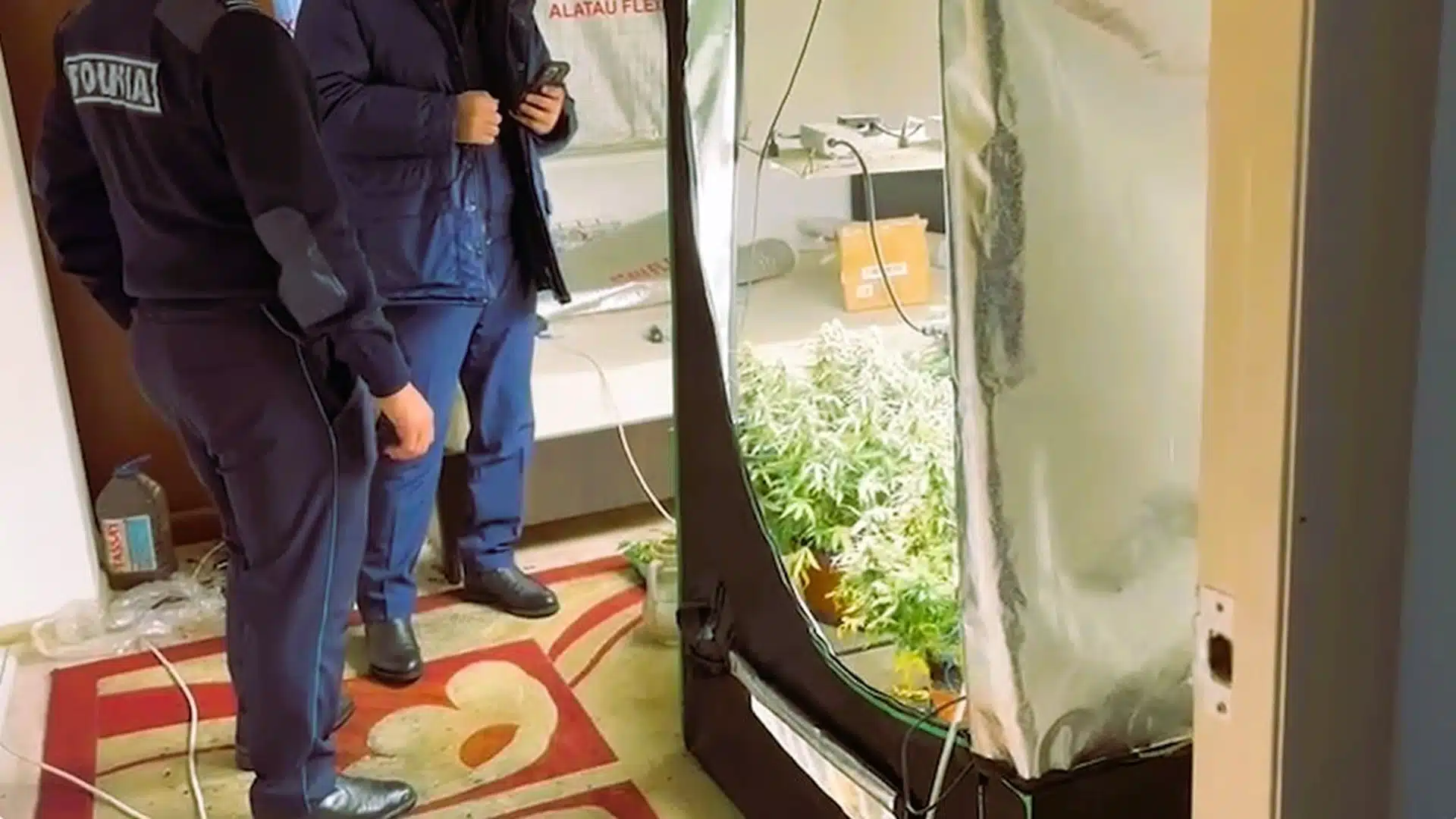 Алматы пәтер есірткі полиция қарасора анаша