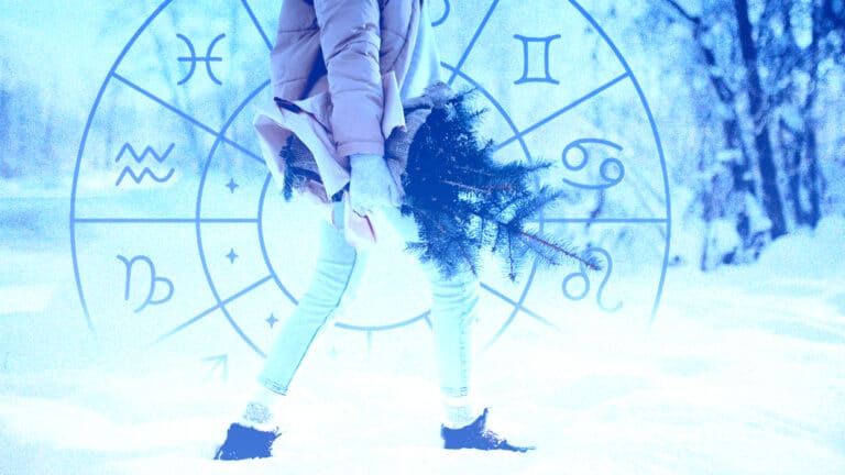 15 желтоқсанға арналған жұлдызжорамал