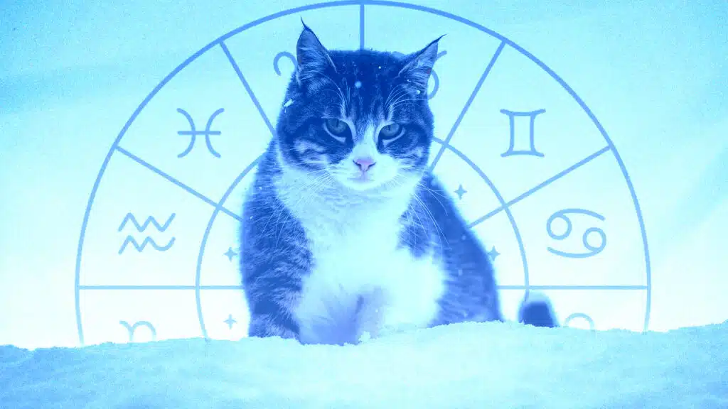 коллаж kursiv.media, бильд-редактор: Милош Муратовский