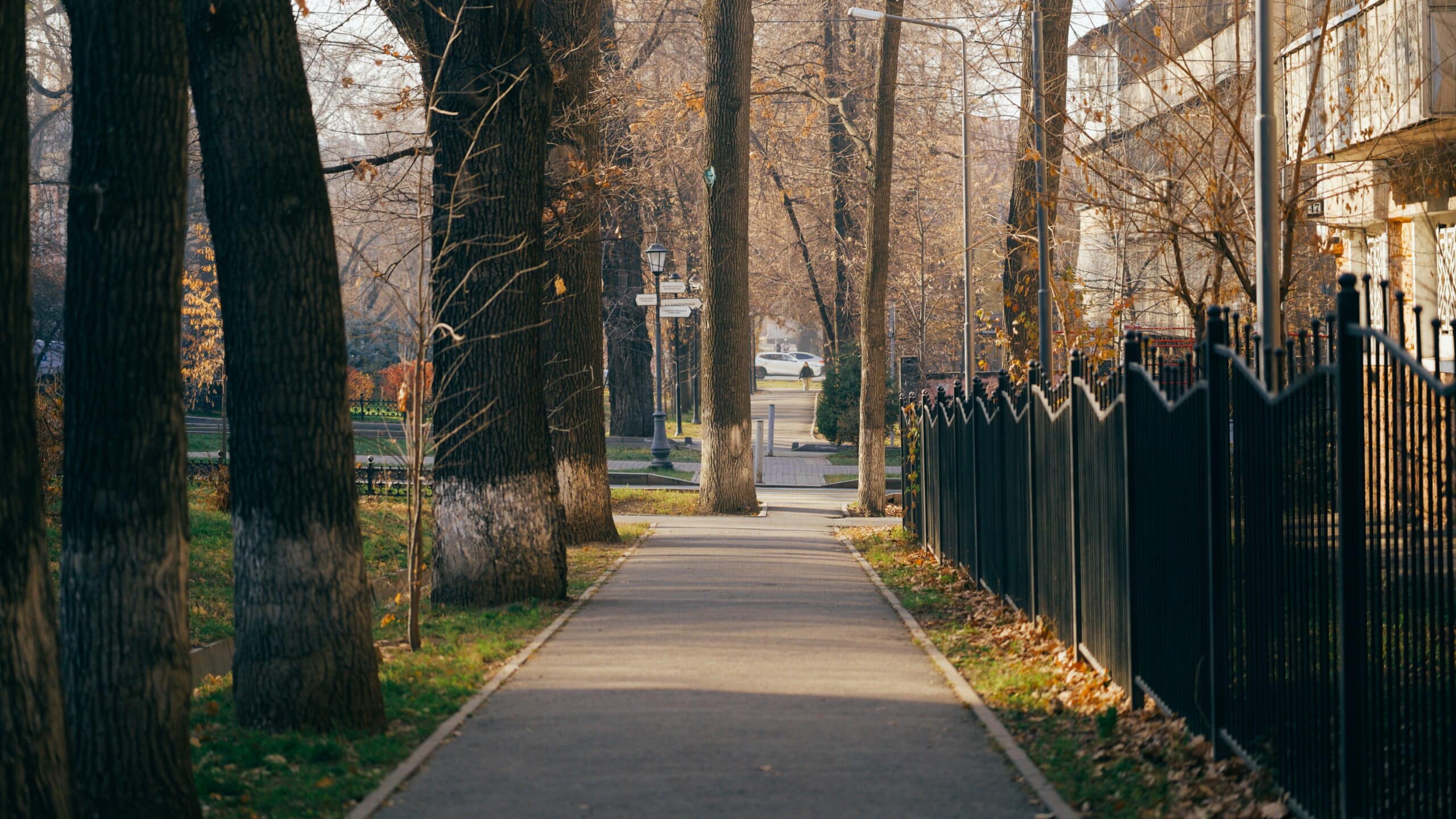 Погода Алматы