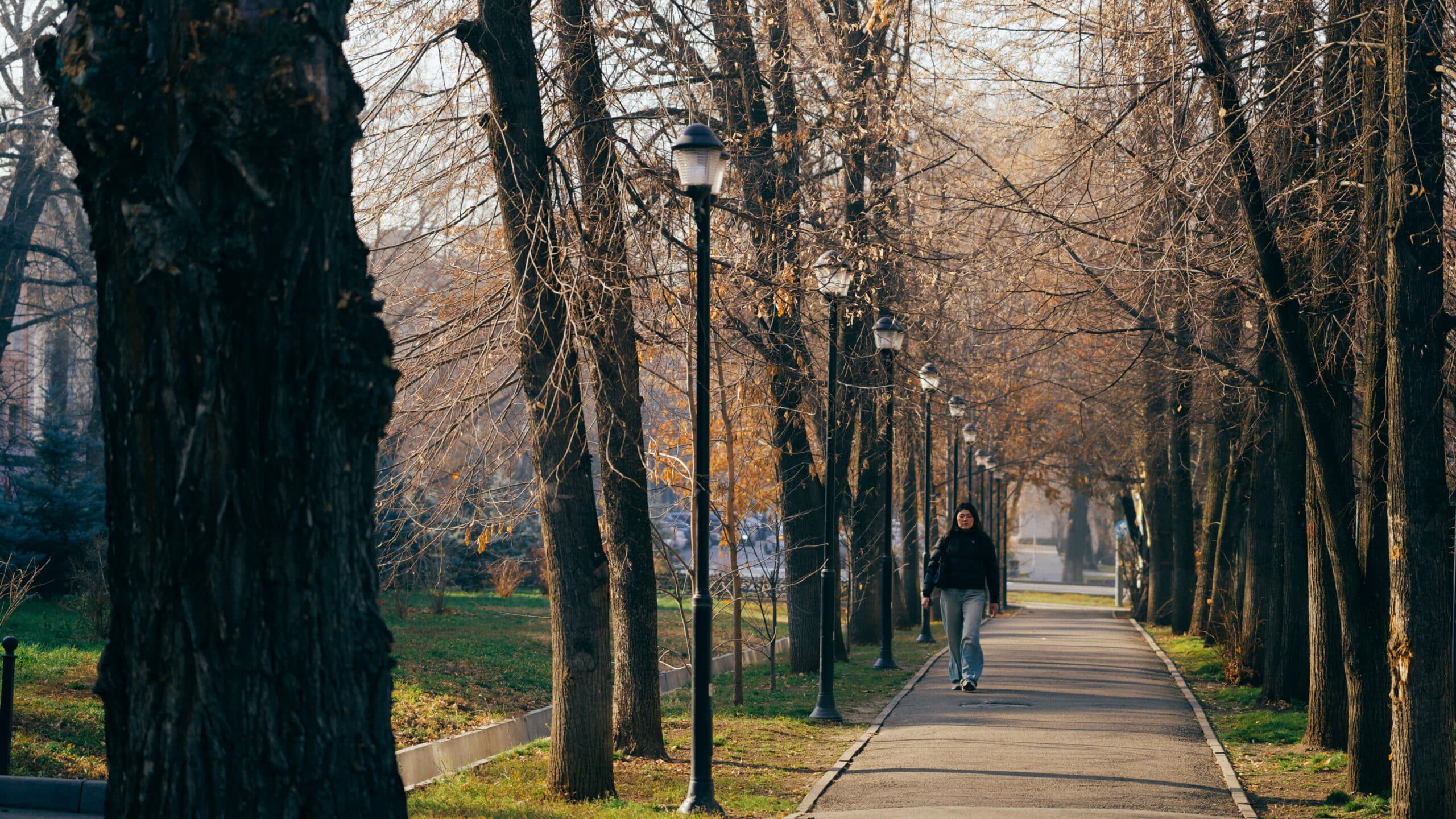 Погода Алматы