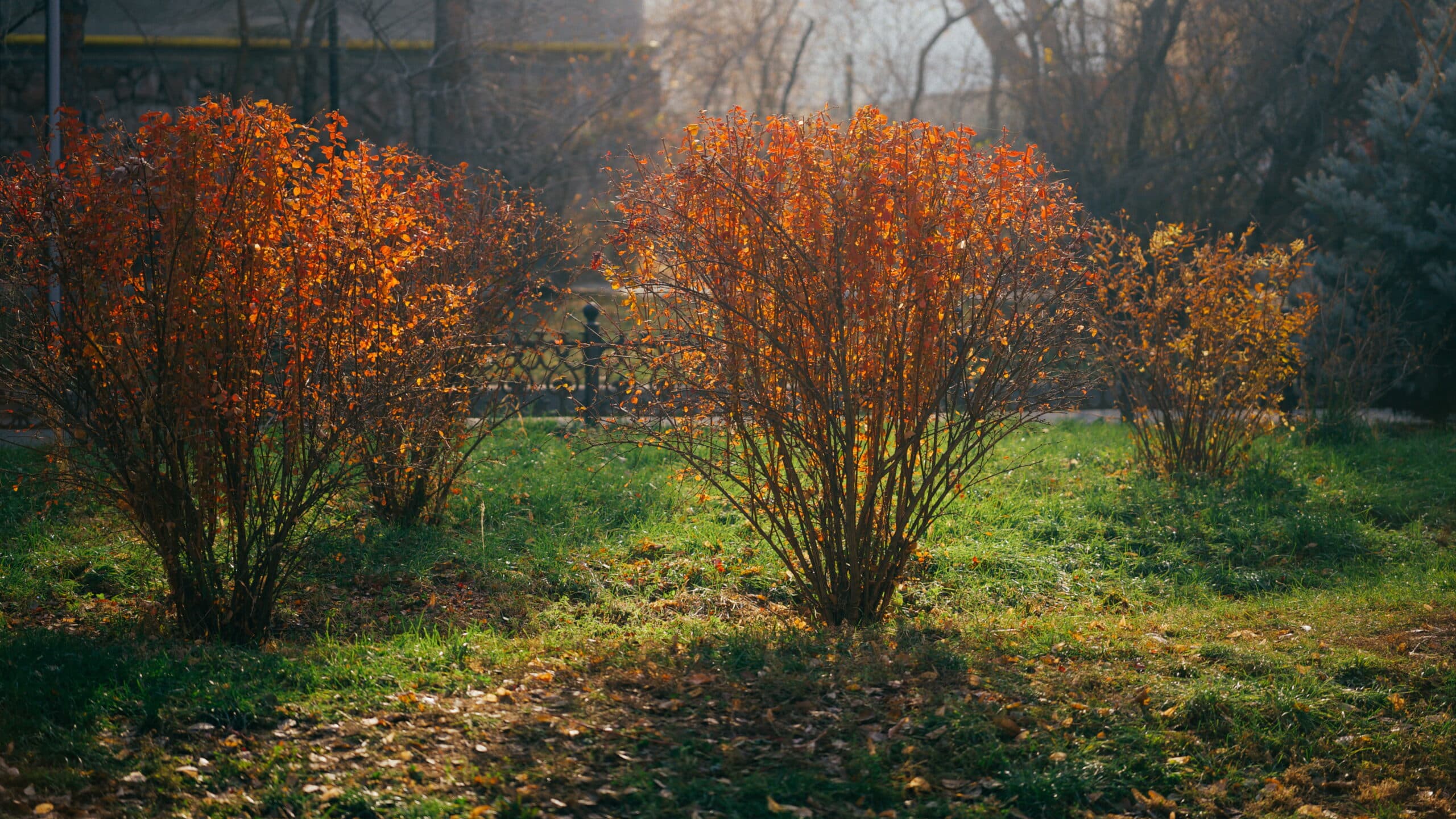 Погода Алматы