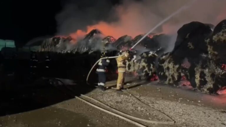 Отырарда 260 тонна мақта жанып кетті