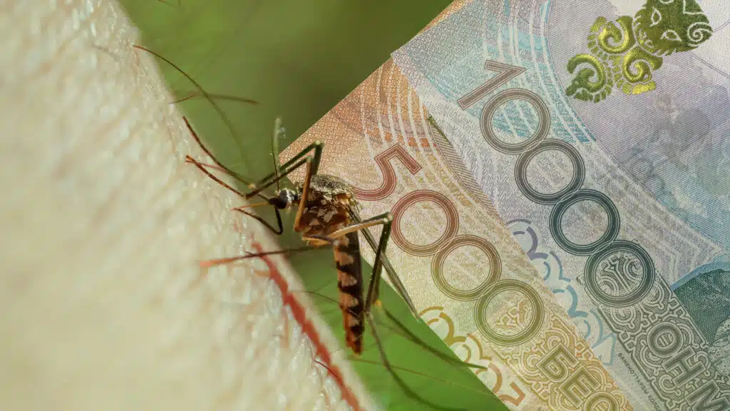 коллаж: kursiv.media, бильд-редактор: Дастан Шанай