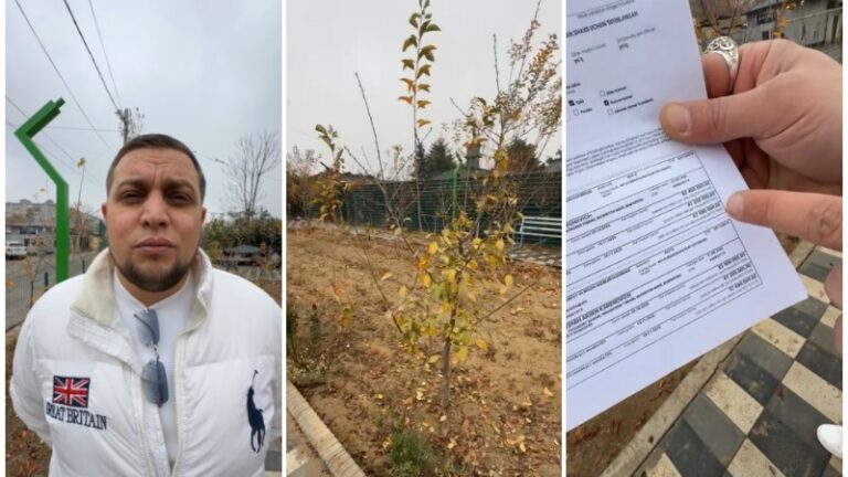 Құлазып жатқан жерді жасыл паркке айналдырған ташкенттікке 82 млн айыппұл салынды