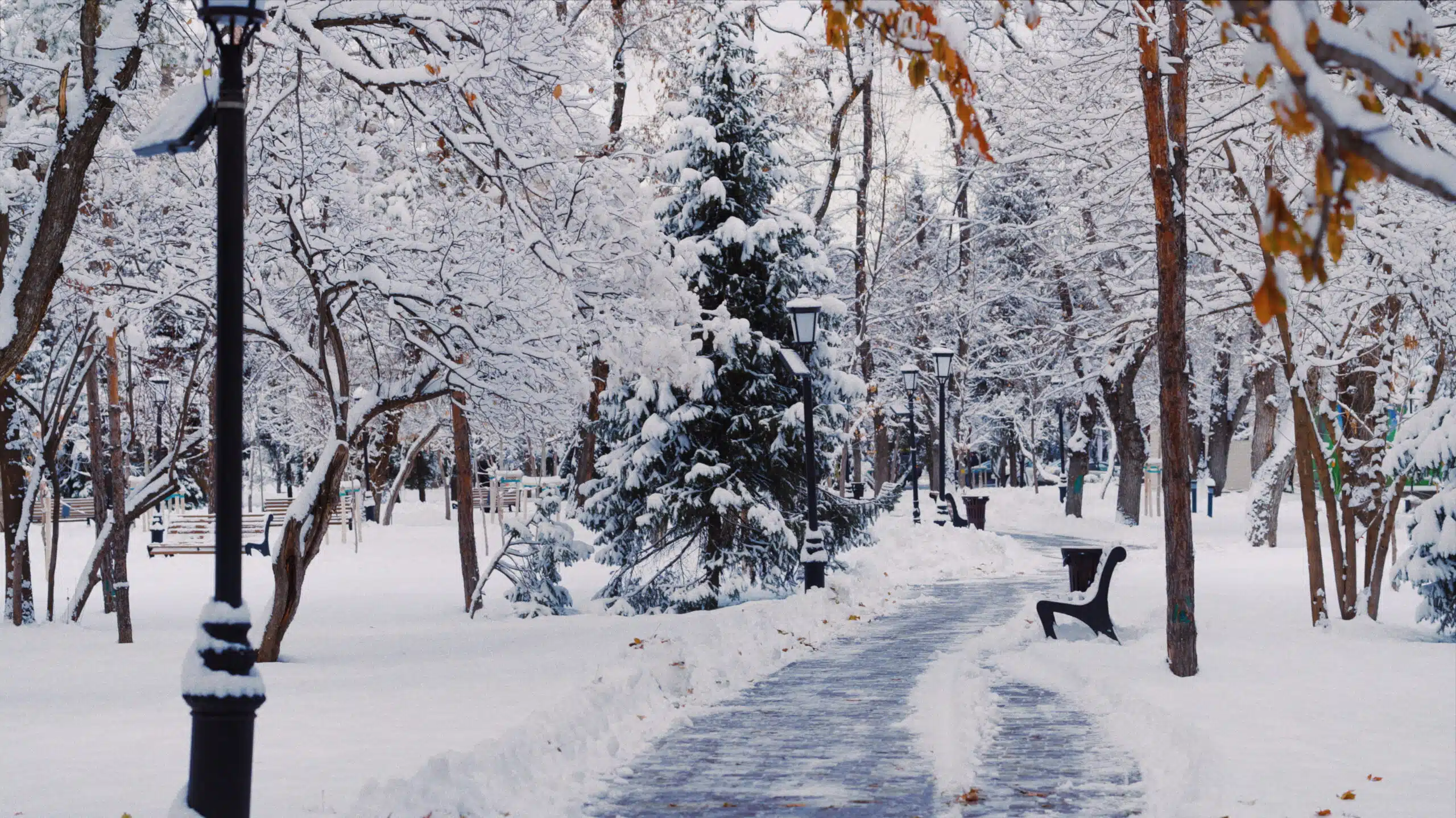 Снег в Алматы