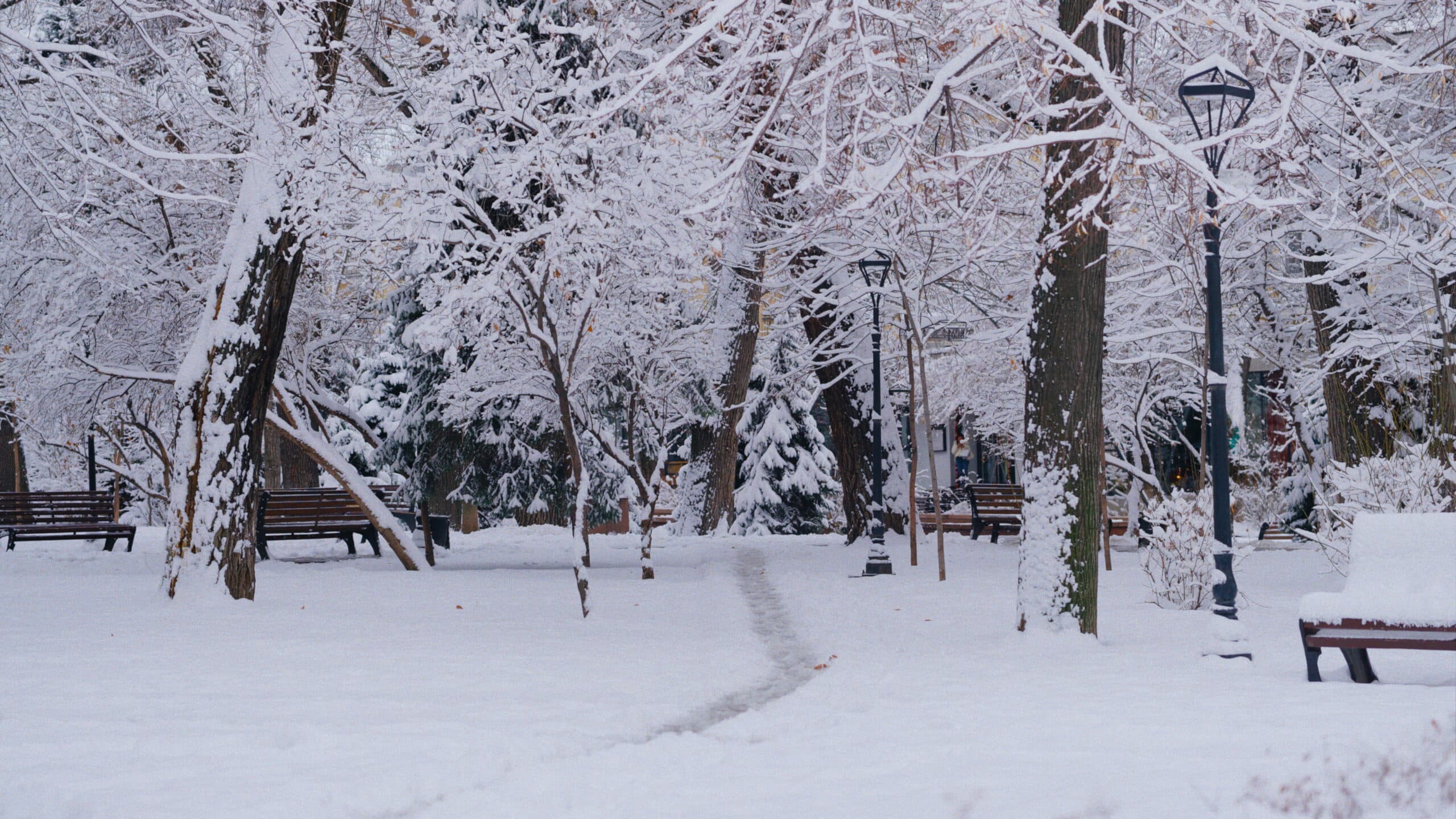 Снег в Алматы