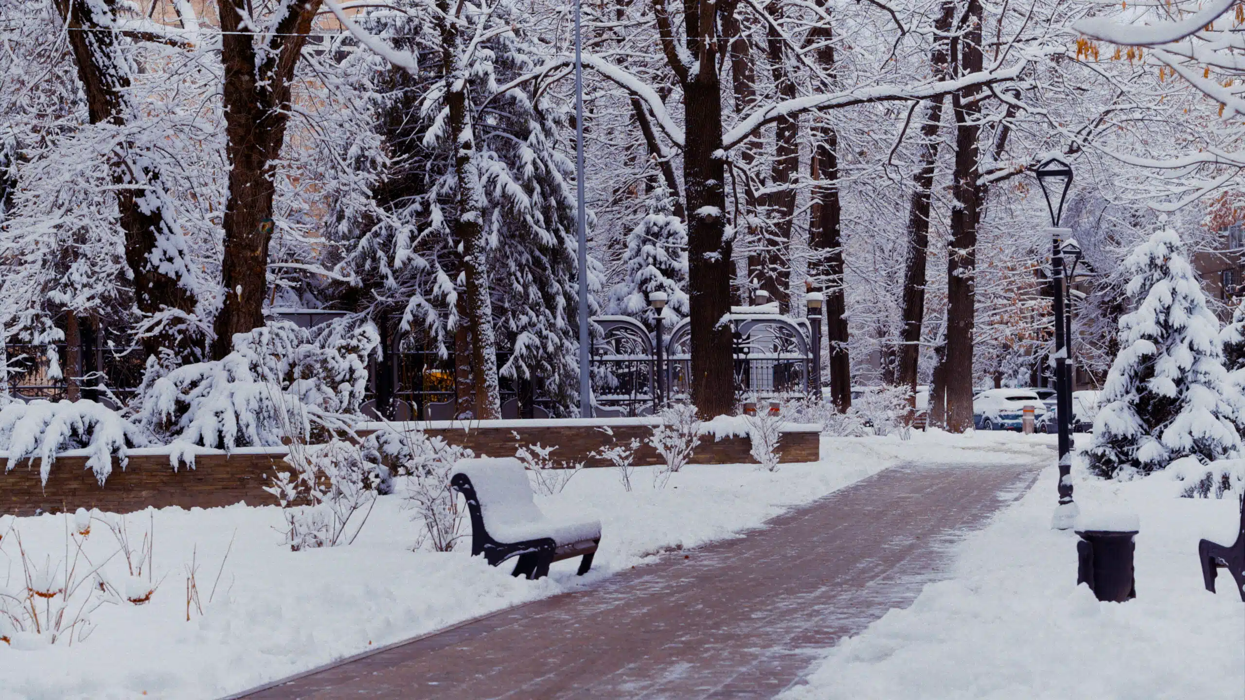 Снег в Алматы