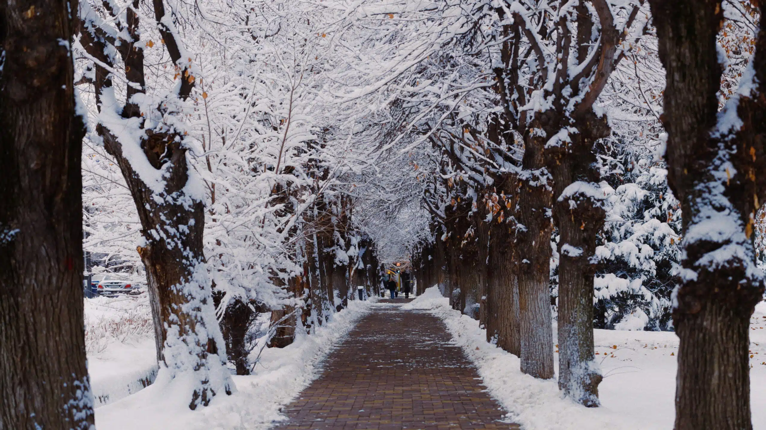 Снег в Алматы