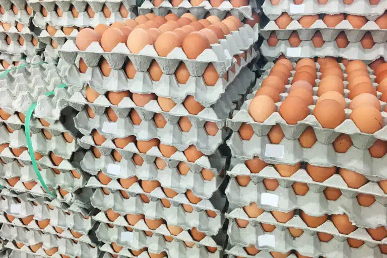 В Казахстане на месяц запретили ввоз куриных яиц