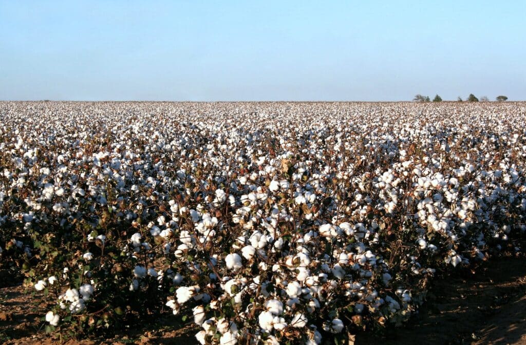 Фото: Shutterstock