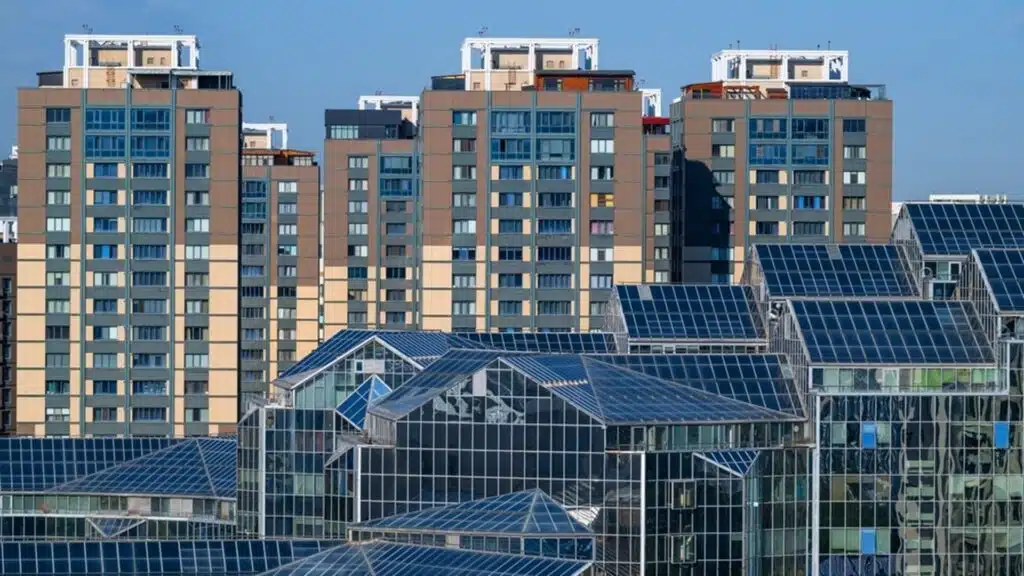 фото: shutterstock