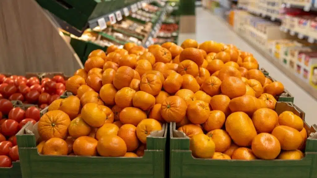 фото: shutterstock