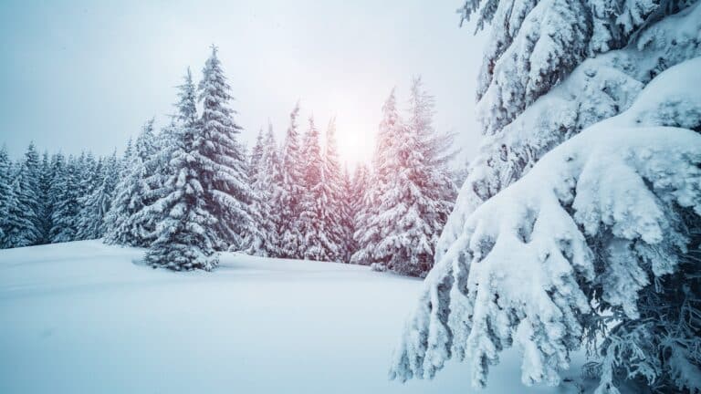 Бүкіл өңірде қар жауады: 15 желтоқсанға ауа райы