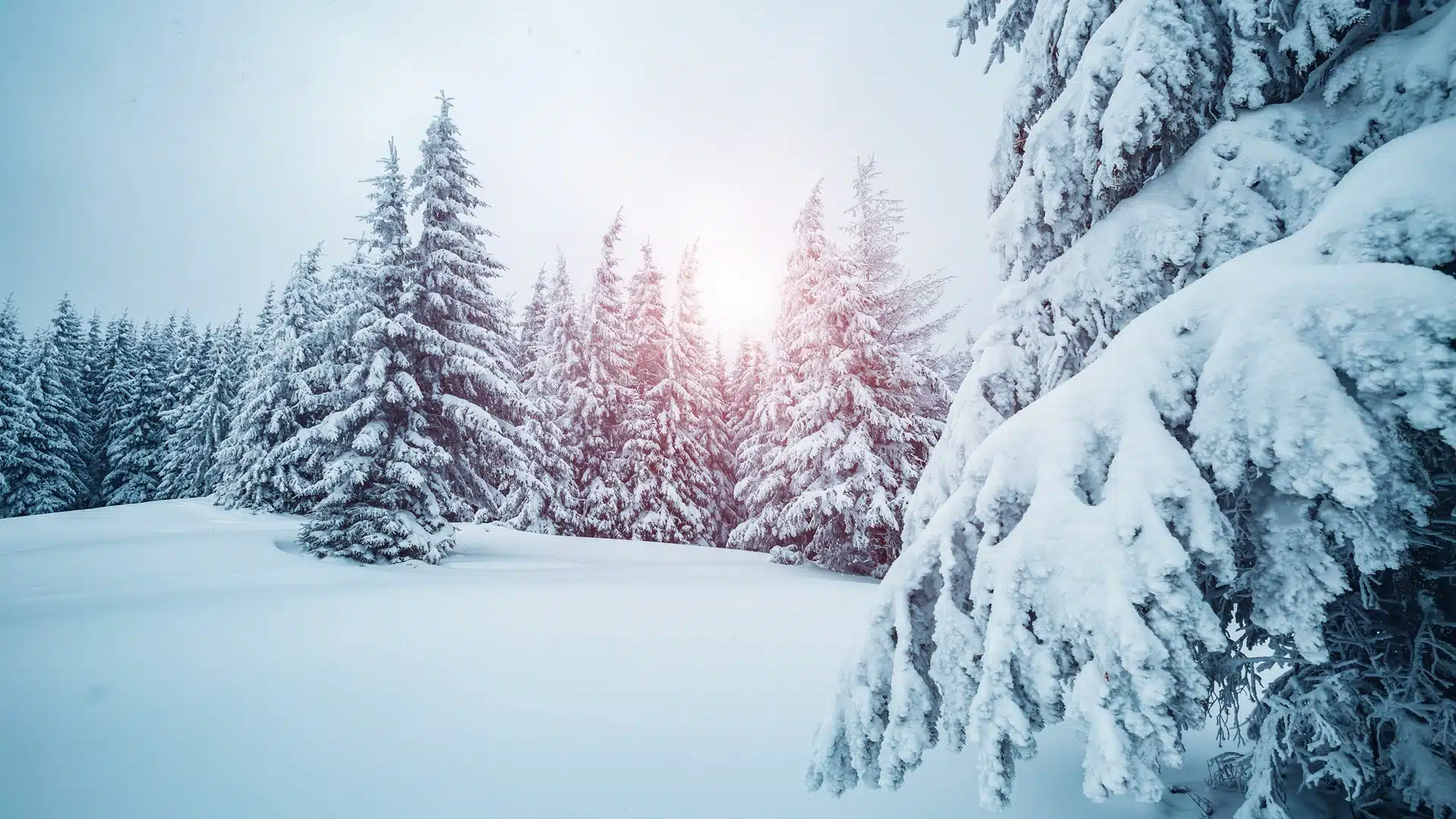 ауа райы қыс қар