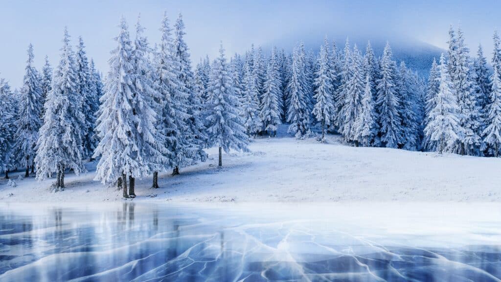 ауа райы қыс қар пейзаж