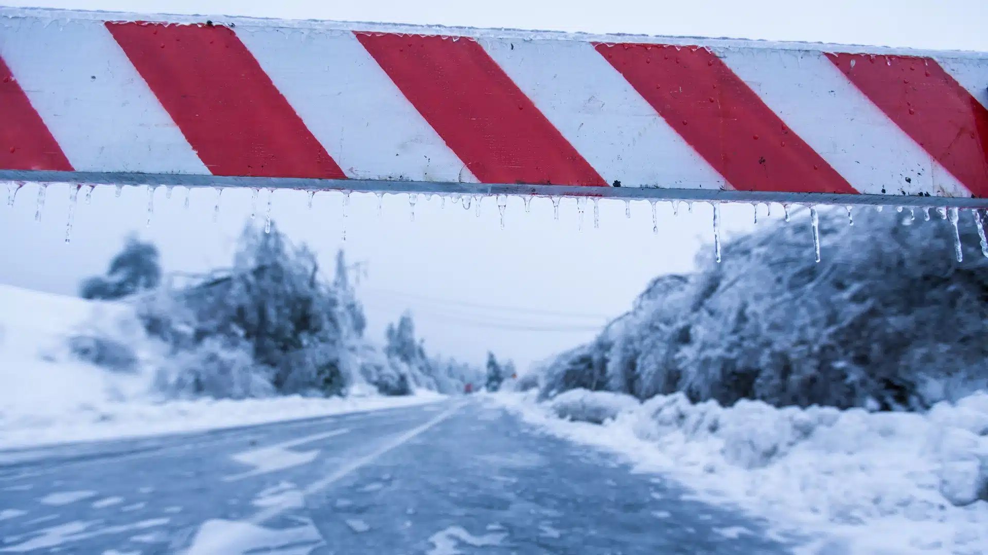 жол жабық стоп