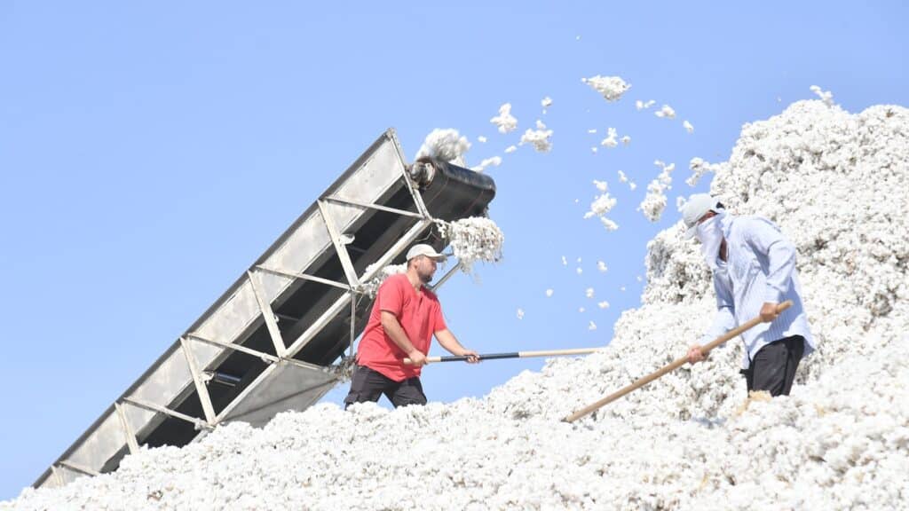 фото: Түркістан облысы әкімдігінің баспасөз қызметі