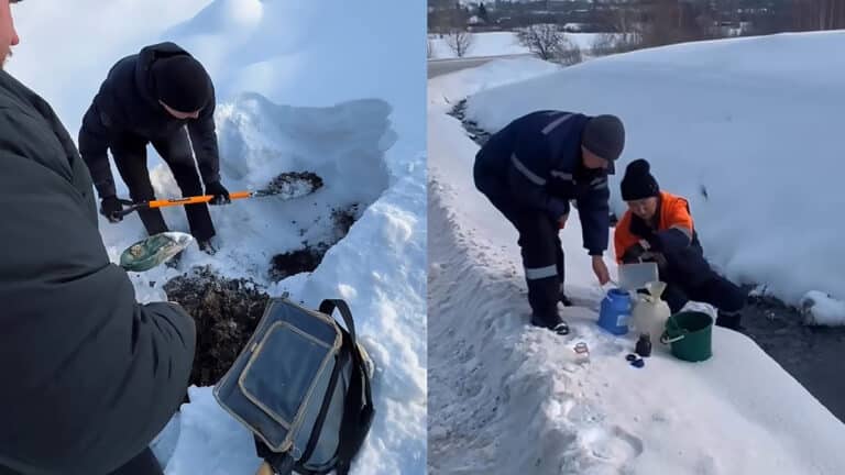 Экологи выявили загрязнение почвы: «Казцинк» оштрафован в Риддере
