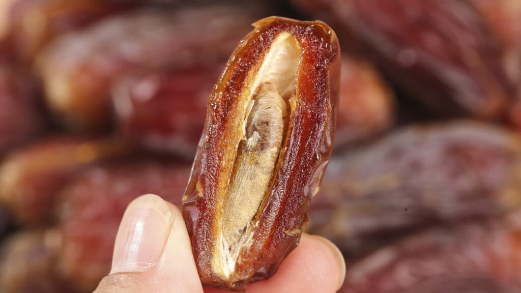 Фото: shutterstock, бильд-редактор: Серикжан Ковланбаев