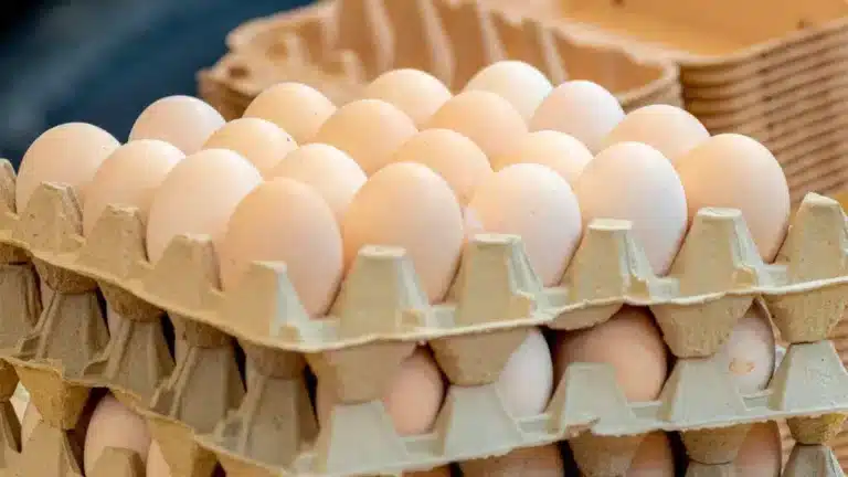 Жұмыртқаның зияны бар – дәрігер