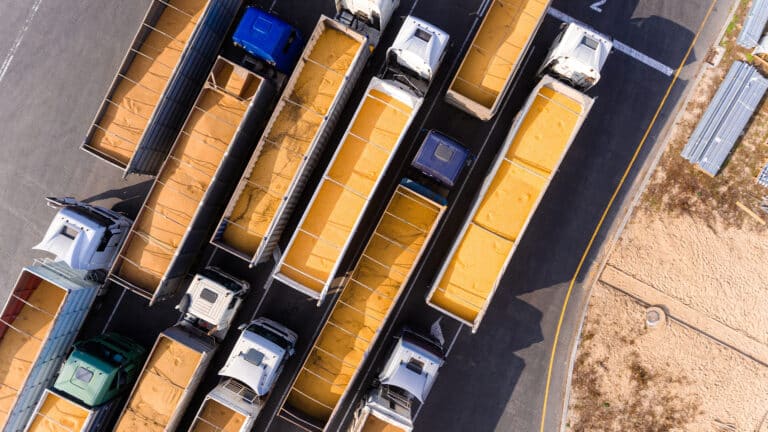 Фермерские хозяйства массово закрываются в Казахстане