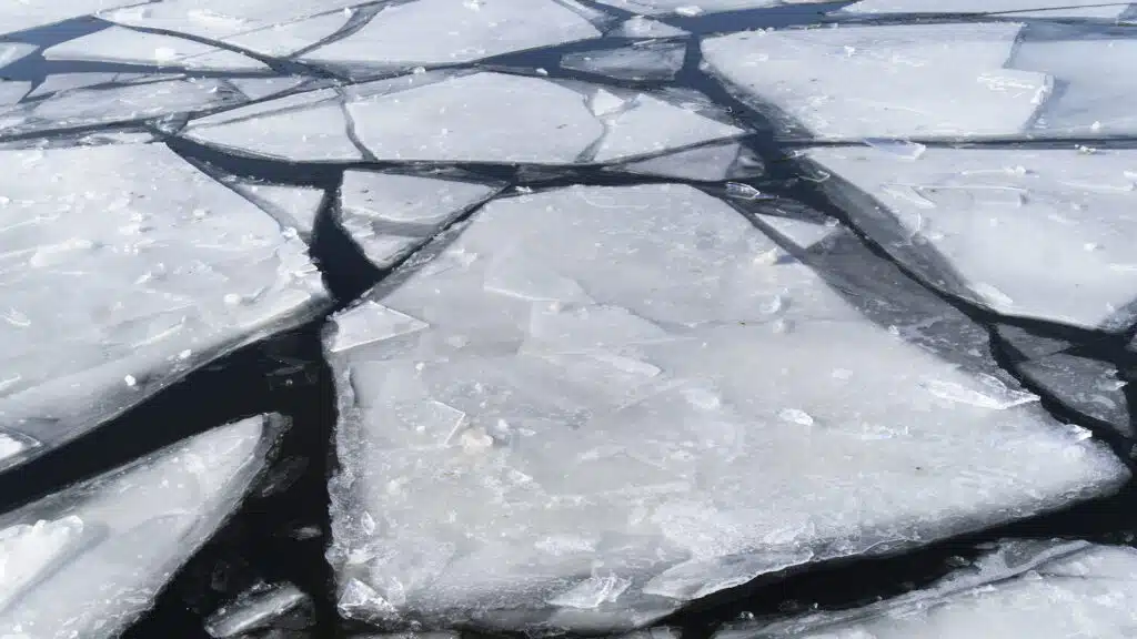 Фото: shutterstock, бильд-редактор: Дастан Шанай