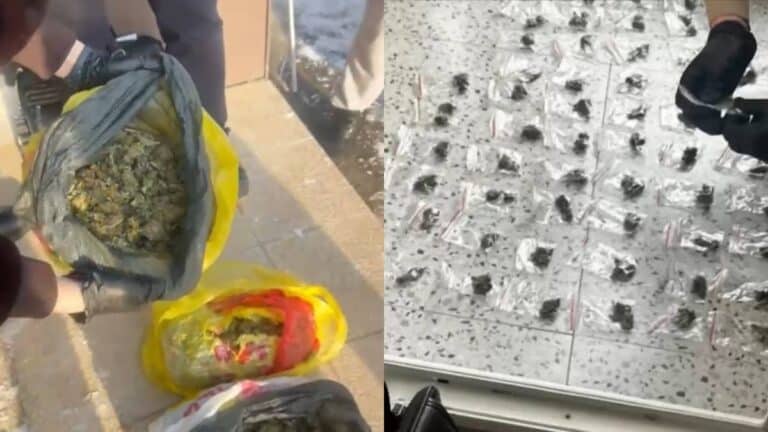Астана тұрғыны балконнан 3 келіге жуық марихуананы лақтырмақ болды