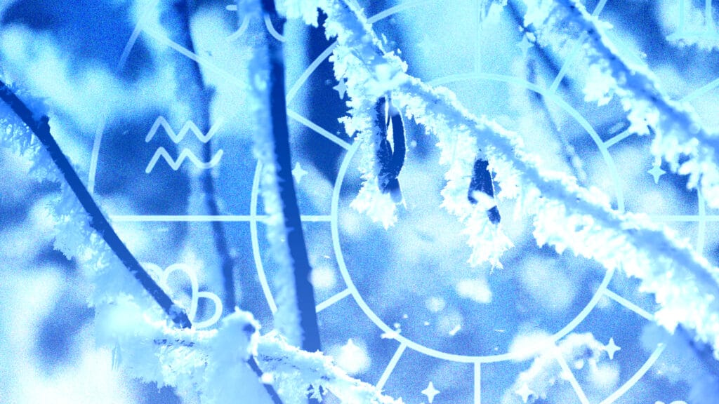 Коллаж kursiv.media, бильд-редактор: Адэлина Мамедова