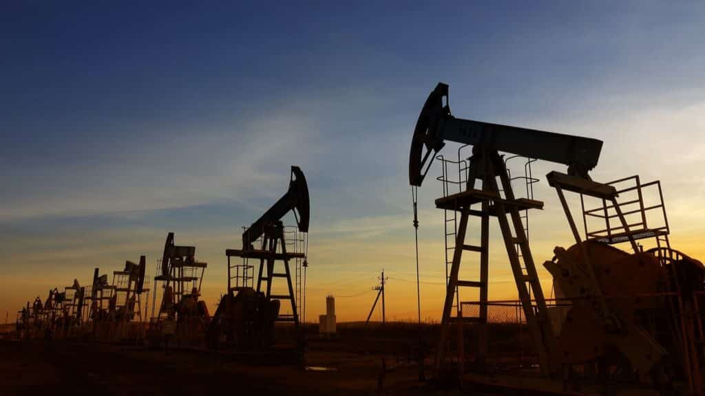 Фото: Shutterstock