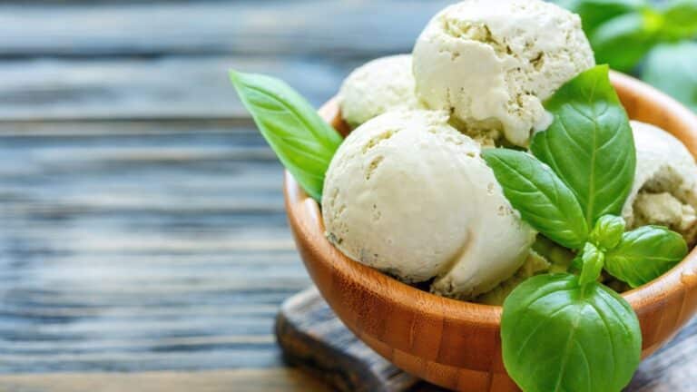 Түйе сүтінен жасалған балмұздақ «Қазақ қызы» брендімен танылды